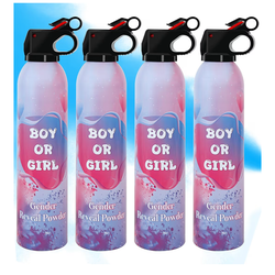 Brand New Gender Reveal