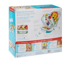 Baby bouncer