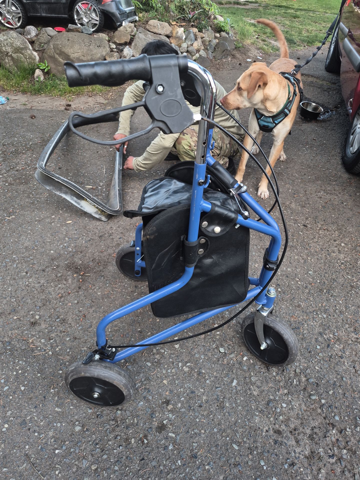 3 wheeled walker