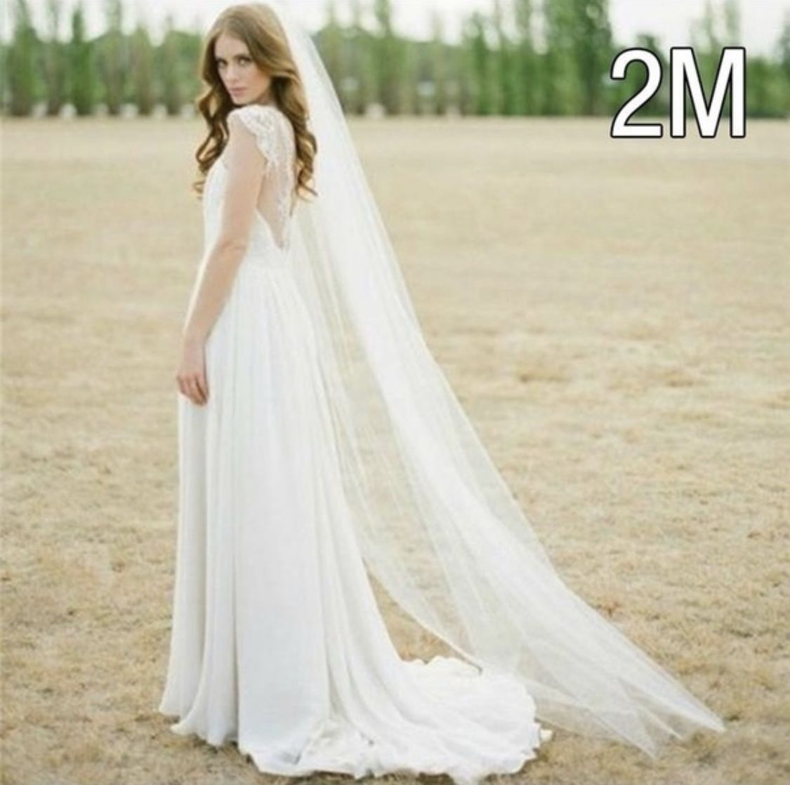 Ivory Wedding veil 2m