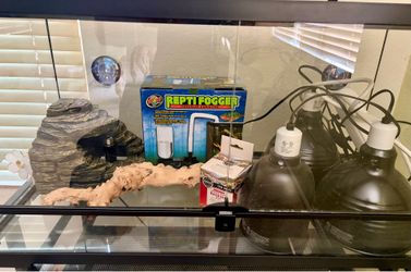 40 gallon reptile tank