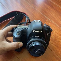 Canon 6D