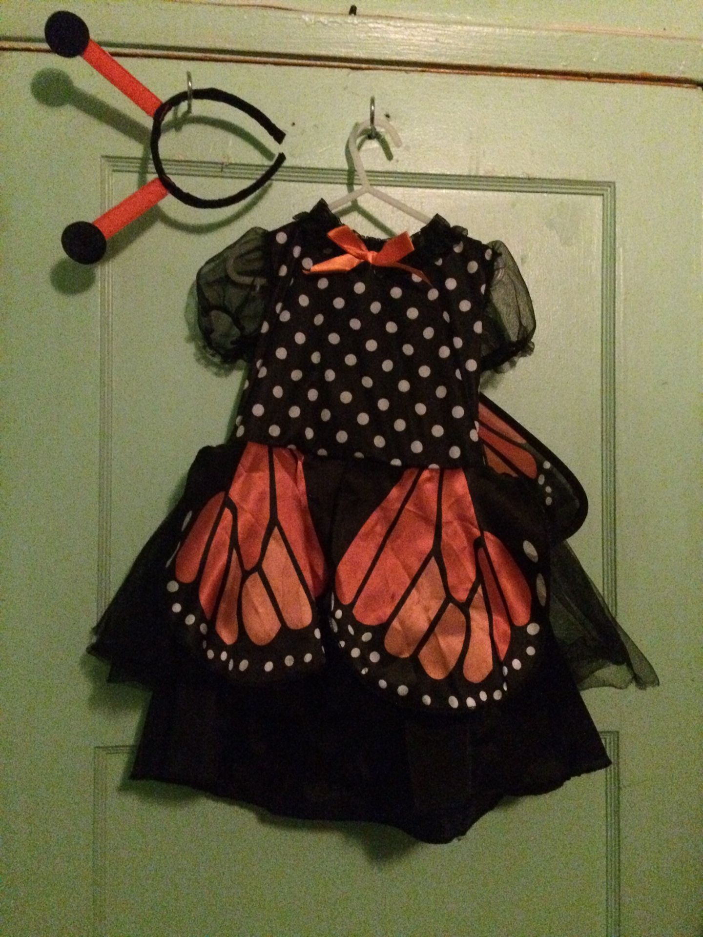 Butterfly fairy costume