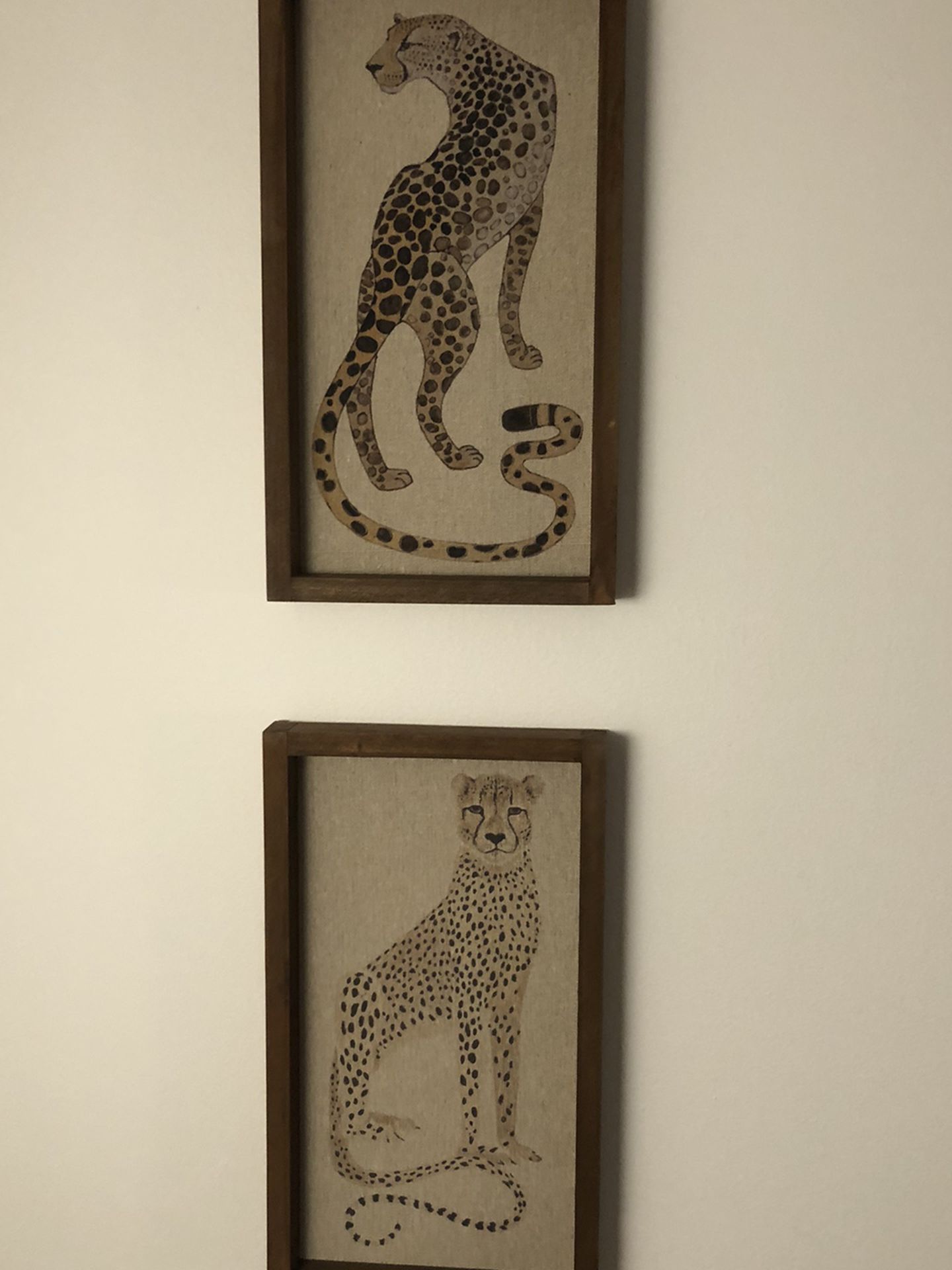 Two Cheetah Wall Art