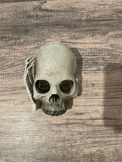 Skeleton Decoration