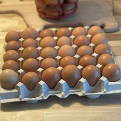 Fresh Eggs