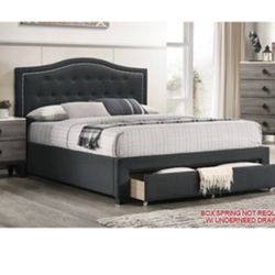 Modern Queen Size Platform Bed with Storage Drawer. Mattress Sold Separately 