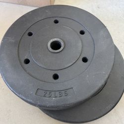 25 Lb Weights X 2
