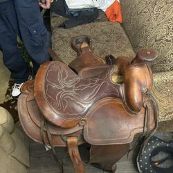 Riding Sadl 