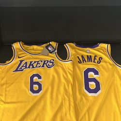 Original Lakers Jersey Lebron 6