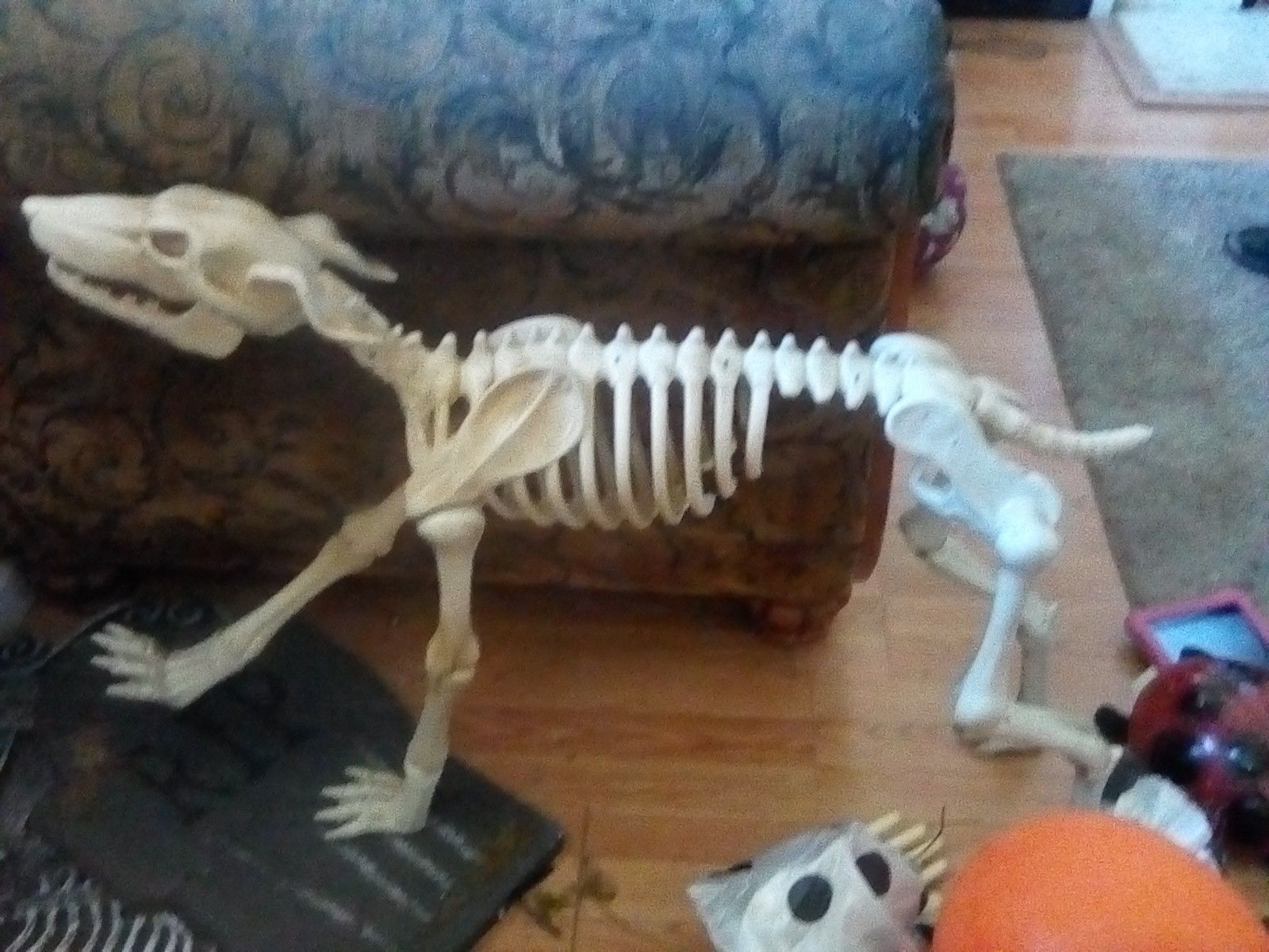 Skeleton barking dog