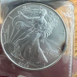 1 Oz Eagle Silver 