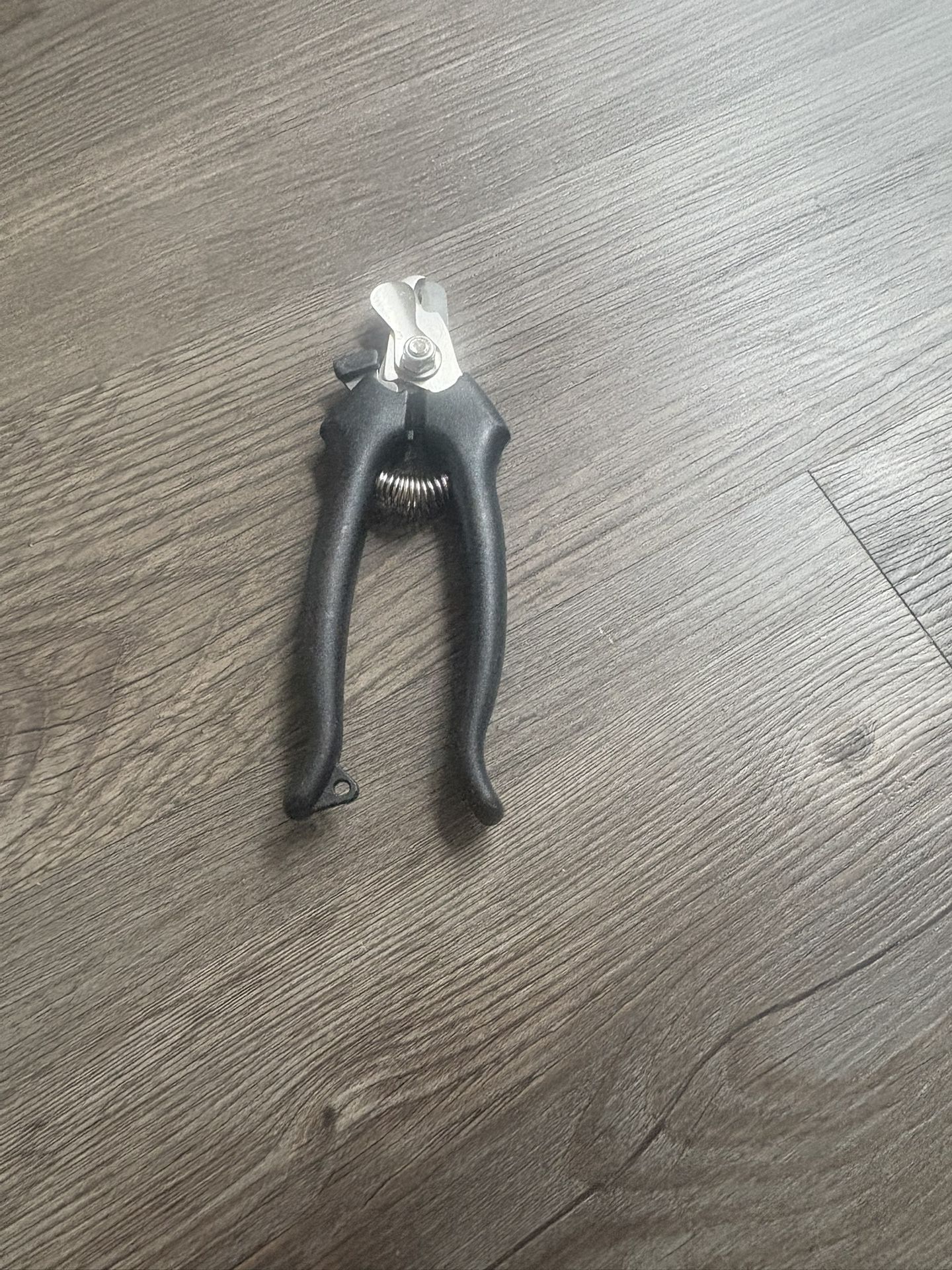 Dog Nail clippers