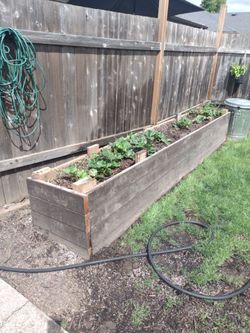 Garden bed