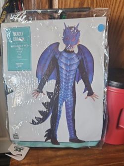 Deadly Dragon Kids Halloween Costume Medium