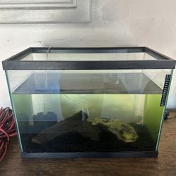 20 Gallon ( Aquarium Fish or Reptiles )