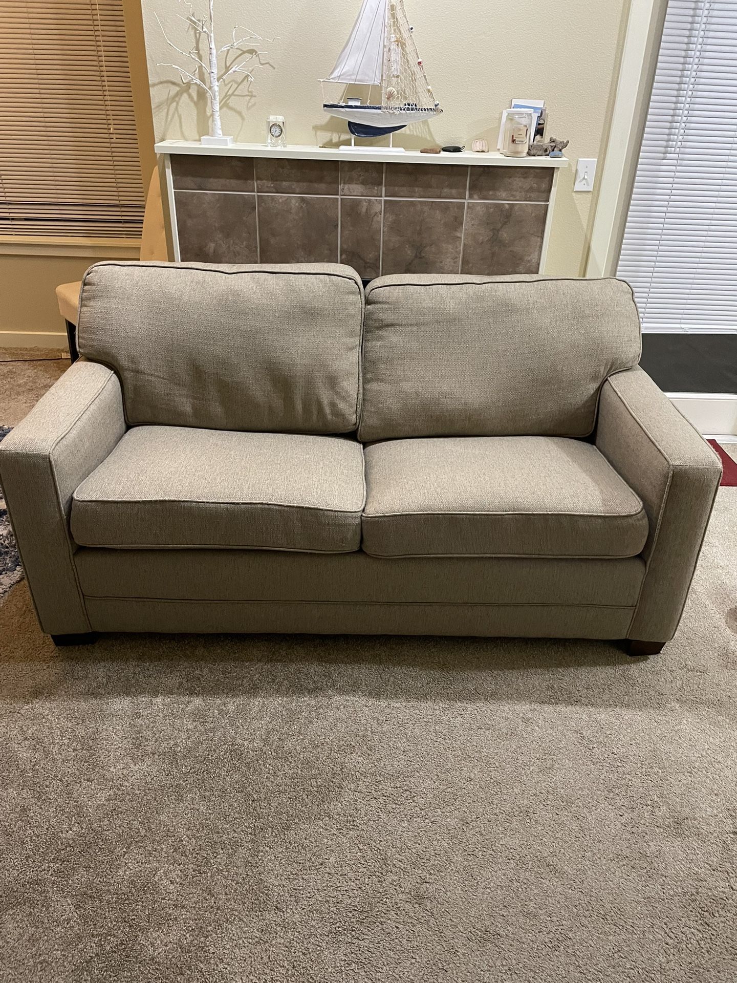 Newer Pull Out Sofa Bed