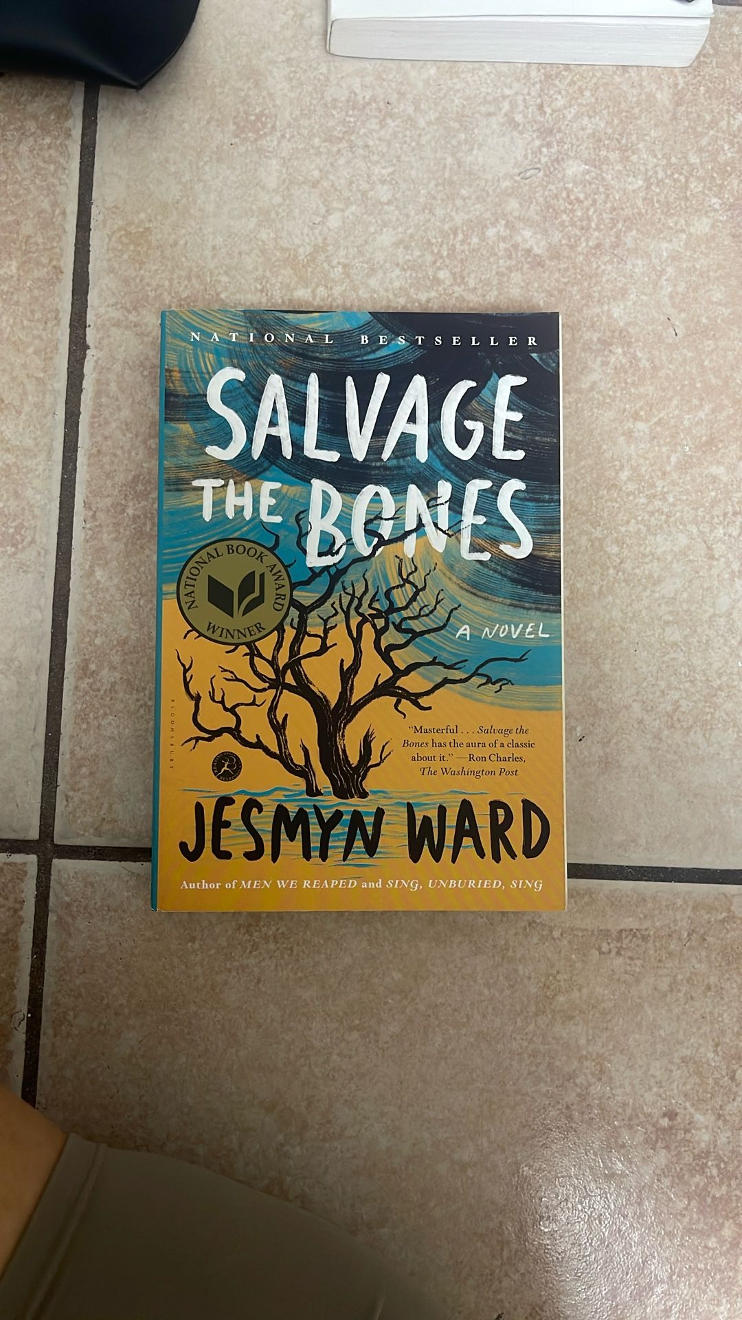 Salvage The Bones Book