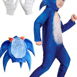 Sonic Costume