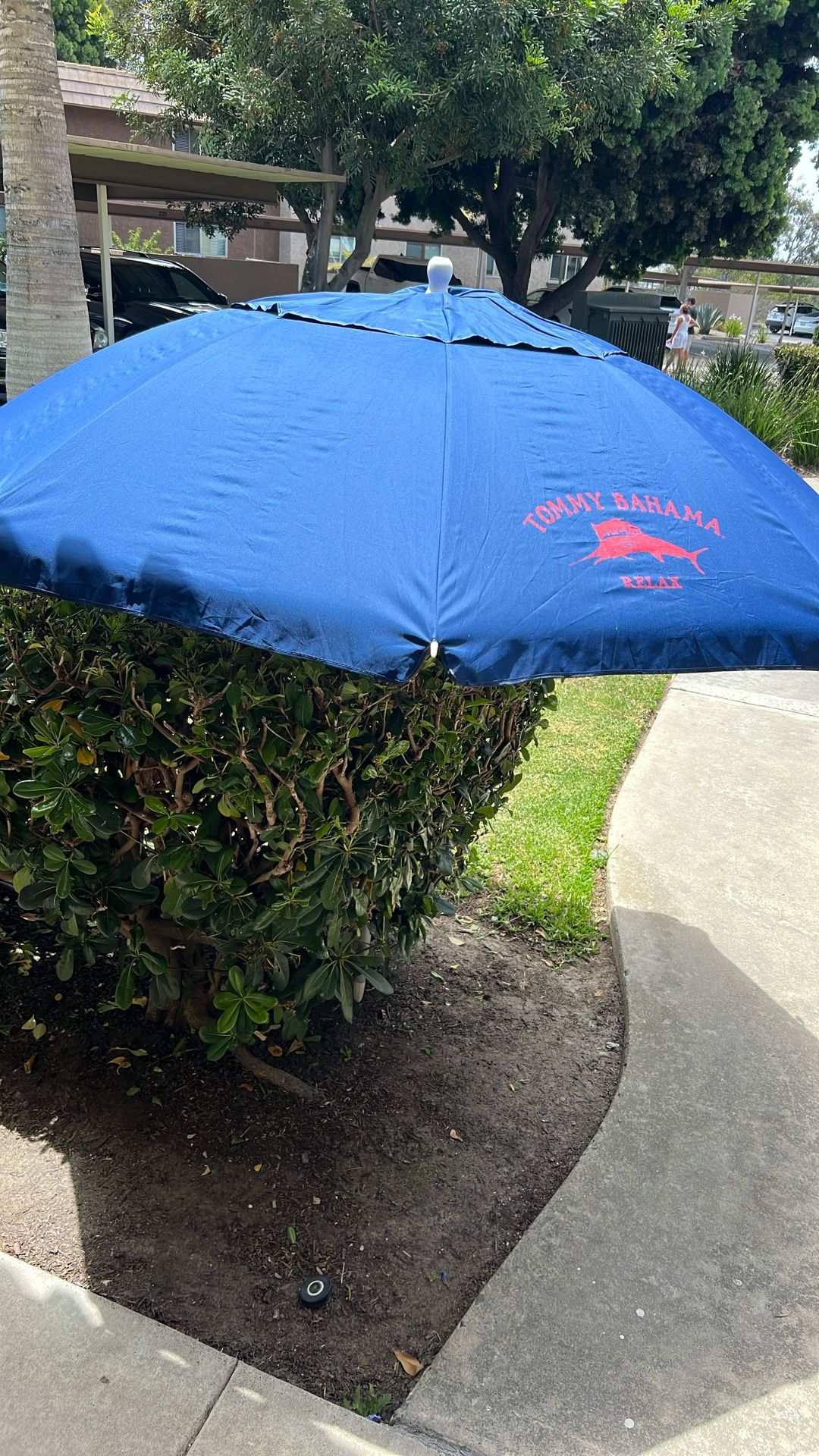 7 Foot Beach Umbrella