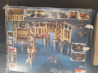 Lego Harry  Potter and cat delivery