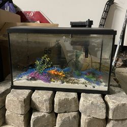 10 Gallon Fish tank 