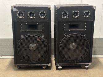 PVS speakers Don't know if they work or not Came in a storage auction unit that I bought Coms with both speakers