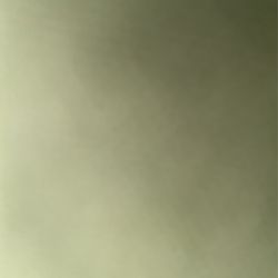 LOST GOLDEN RETRIEVER!