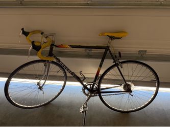 Vintage Peugeot Bike/Fixie