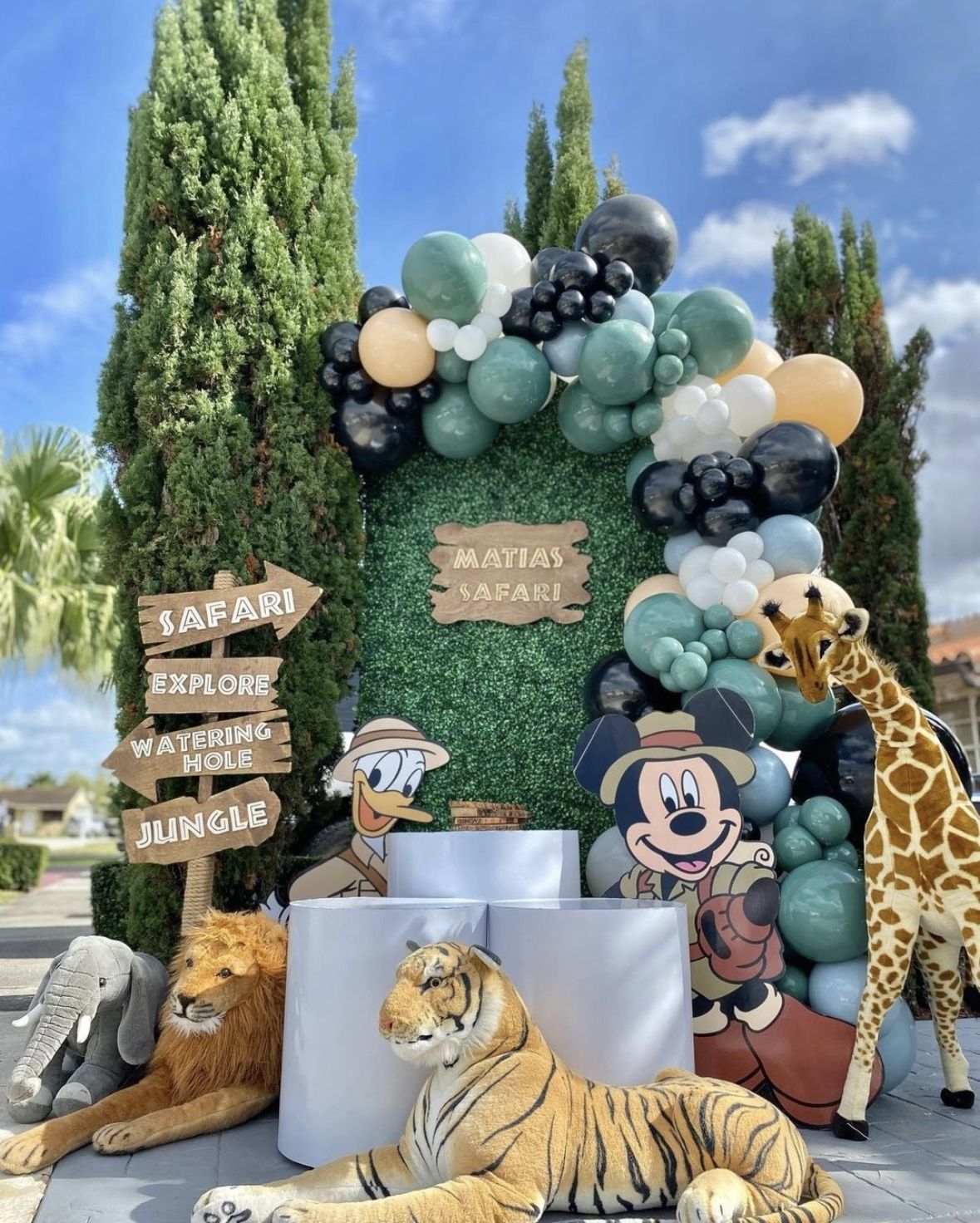 Mickey Safari Party Backdrop 