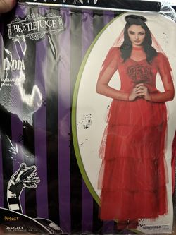 Beetlejuice- Lydia Costume