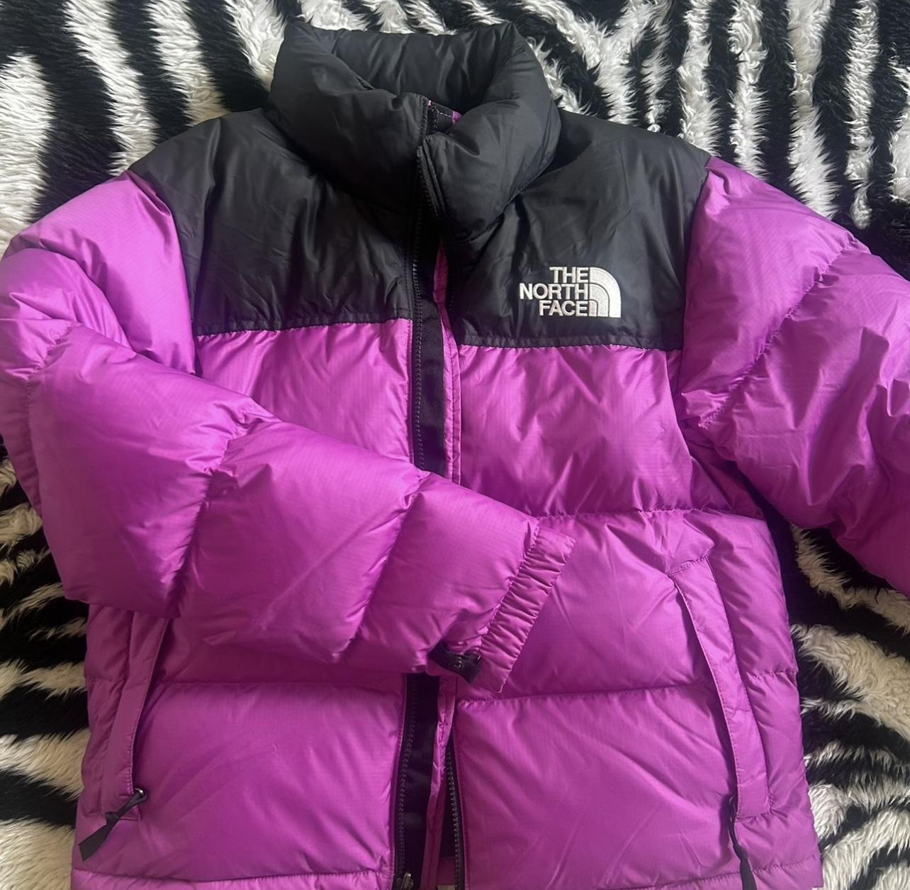 NorthFace 700 Puffer