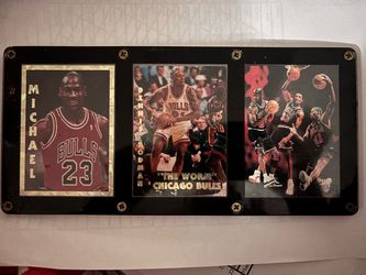 Chicago Bulls Basketball Card Display Case Set