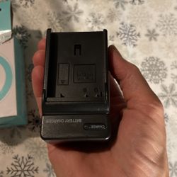 Digital Battery Charger 