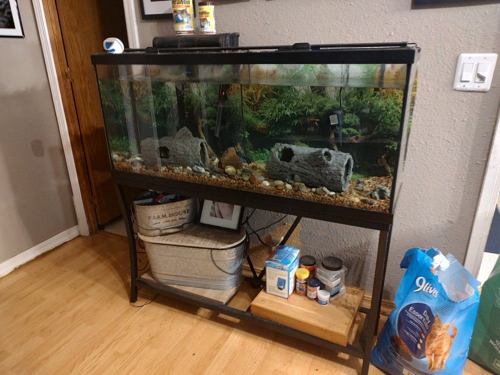 55 Gallon Fish Tank With Stand