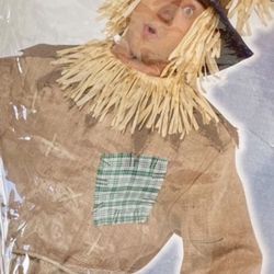 Mr. Scarecrow Halloween Costume