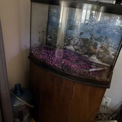 Tank With Stand $50