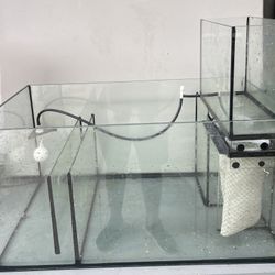 Redsea Sump Saltwater Aquarium 