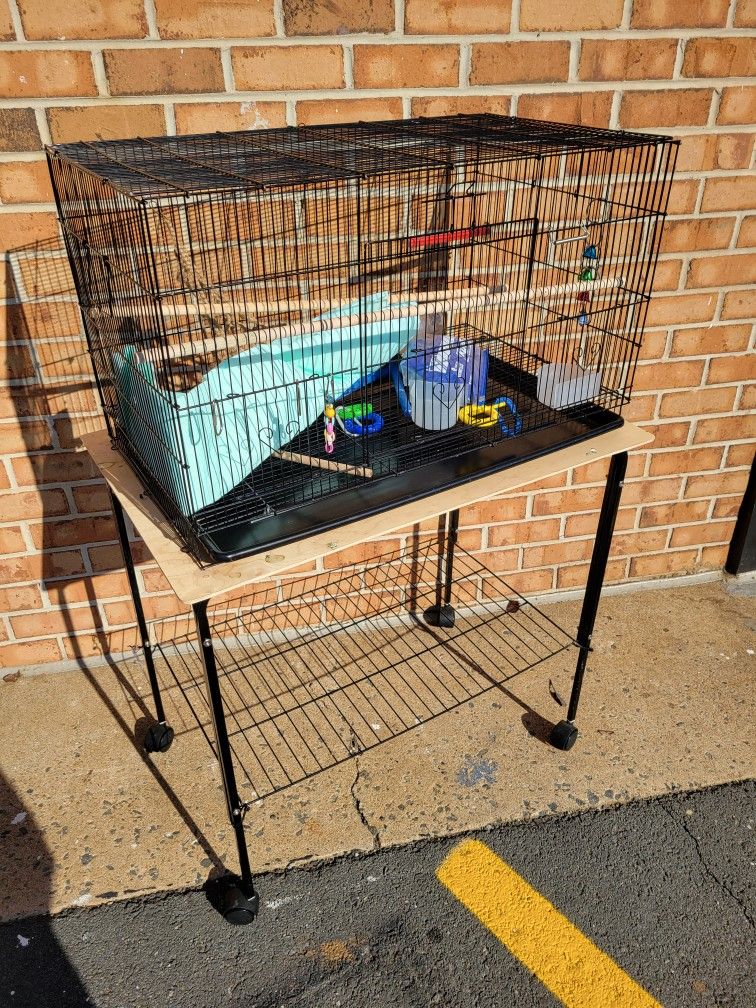 Small Bird Cage, Good https://offerup.co/faYXKzQFnY?$deeplink_path=/redirect/ Or Two