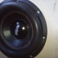 12" Asylum With A 3000w Asylum Monoblock