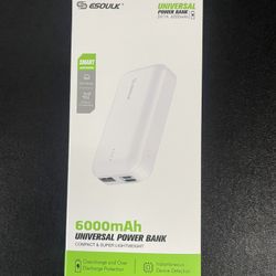 Universal Power Bank 6000