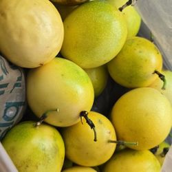 Passion Fruit