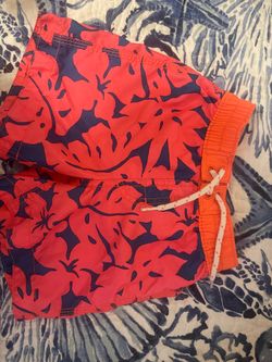 Toddler boy swim shorts