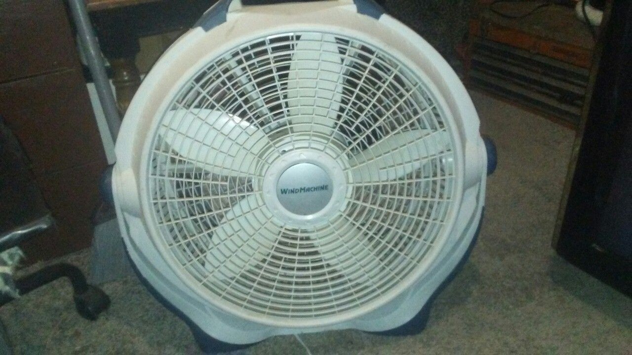 Fan