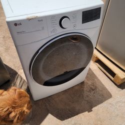 Electric ThinkQ Smart Dryer