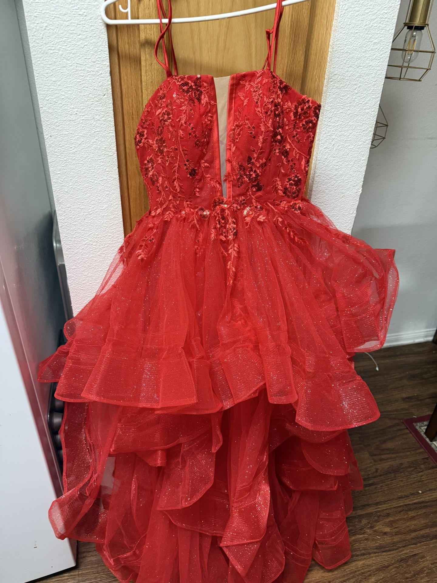 Quinceniera/sweet 16 Dress