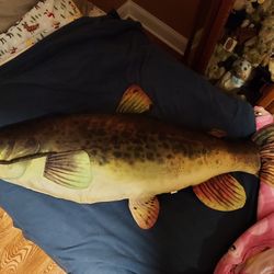 Large Fish