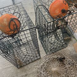 Crab Traps for Sale in Palm Shores, FL - OfferUp