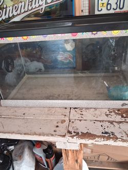 Tank for hamster 🐹 great shape ready to ride