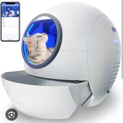 Automatic Litter Box 